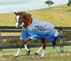 WEATHERBEETA ® Free Standard Neck Turnout Sheet- Turnout Sheets