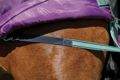 WEATHERBEETA ® Pony ComFiTec™ Premier Free II Standard Neck Lite Turnout- Turnout Blankets