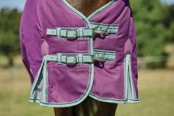 WEATHERBEETA ® Pony ComFiTec™ Premier Free II Standard Neck Lite Turnout- Turnout Blankets