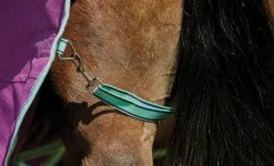 WEATHERBEETA ® Pony ComFiTec™ Premier Free II Standard Neck Lite Turnout- Turnout Blankets