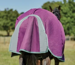 WEATHERBEETA ® Pony ComFiTec™ Premier Free II Standard Neck Lite Turnout- Turnout Blankets