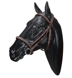 SADDLERY BRANDS INTL Wintec Bridle- English Bridles
