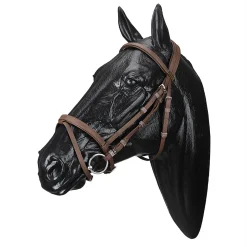 SADDLERY BRANDS INTL Wintec Bridle with Flash- English Bridles