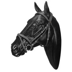 SADDLERY BRANDS INTL Wintec Bridle with Flash- English Bridles
