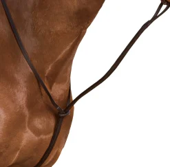 SADDLERY BRANDS INTL Wintec Standing Martingale- Martingales & Breastplates