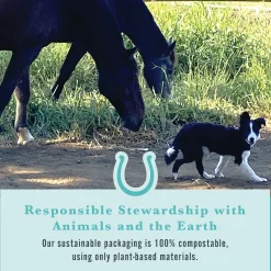 WITHERS & WITHERS Sugar-Free Peppermint/Marshmallow Nutra-Treats for Horses- Horse Treats|Horse Treats