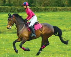 TOKLAT ORIGINALS Woof Wear All-Purpose Boots- Horse Boots